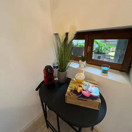 Apartment Grand Sur Cour Privative Muret