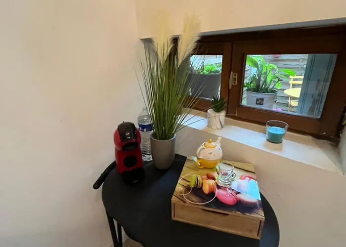 شقة Grand Sur Cour Privative موريه